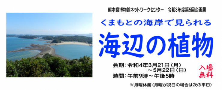 令和3年度第5回企画展　熊本の海岸で見られる海辺の植物　令和4年3月21日（月）から5月22日（日）まで　入場無料