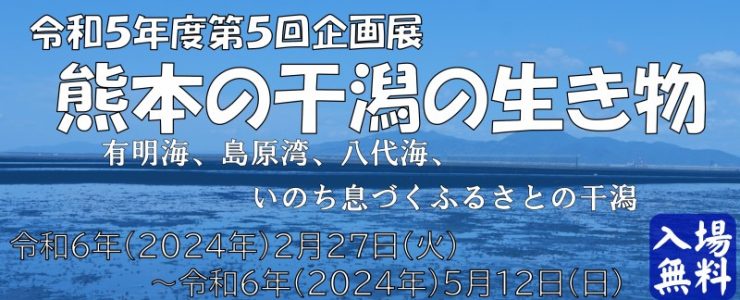 令和5年度第5回企画展「熊本の干潟の生き物」開催のお知らせ