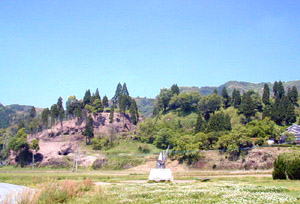 田中城跡のイメージ1
